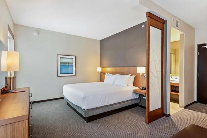 Standard-huone King-vuode, Hyatt Place Tampa/wesley Chapel