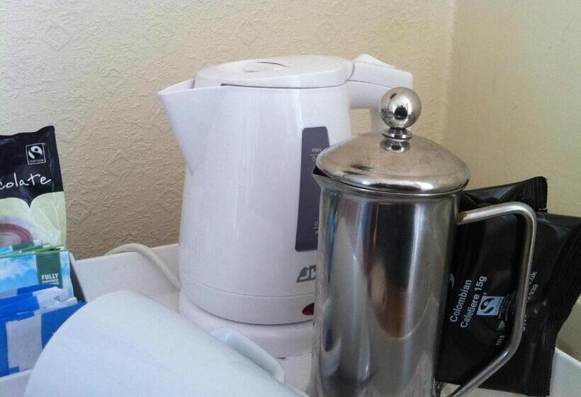 חדר סטנדרט יחיד, Trelawney Guest House Room Only