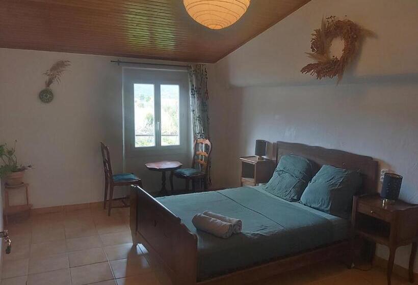 マウンテンビュースタンダードルーム, Home Shanti Galamus