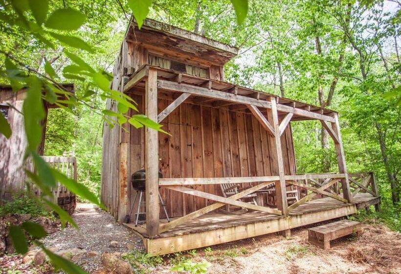 إستوديو قياسى ذو إطلالة, Nolichuckey Bluffs Bed & Breakfast Cabins