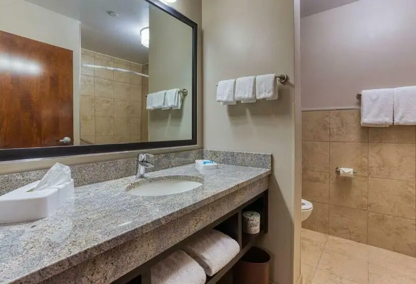 キングサイズベッドのデラックスルーム, Drury Inn & Suites Cincinnati Northeast Mason
