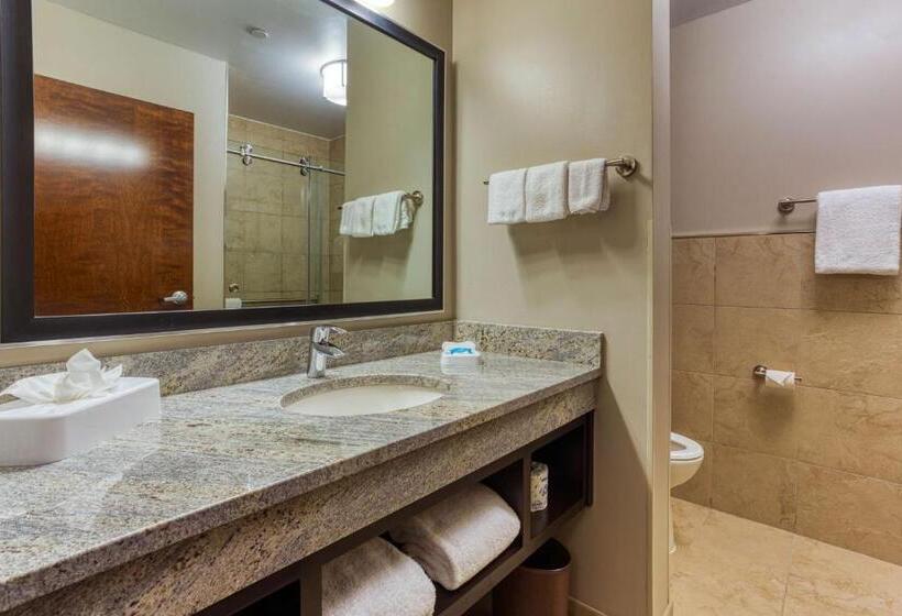 디럭스 스위트 킹 침대, Drury Inn & Suites Cincinnati Northeast Mason