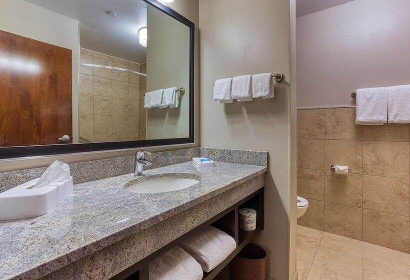 디럭스 룸, Drury Inn & Suites Cincinnati Northeast Mason