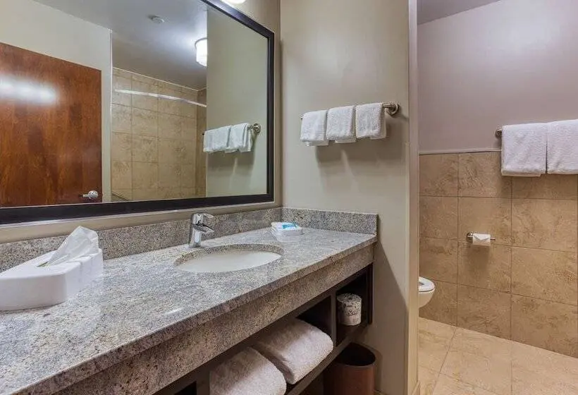 デラックスルーム, Drury Inn & Suites Cincinnati Northeast Mason