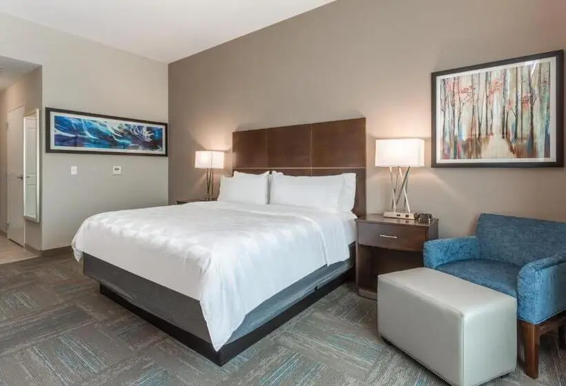 キングサイズベッドのスタンダードルーム, Holiday Inn & Suites   Jefferson City, An Ihg