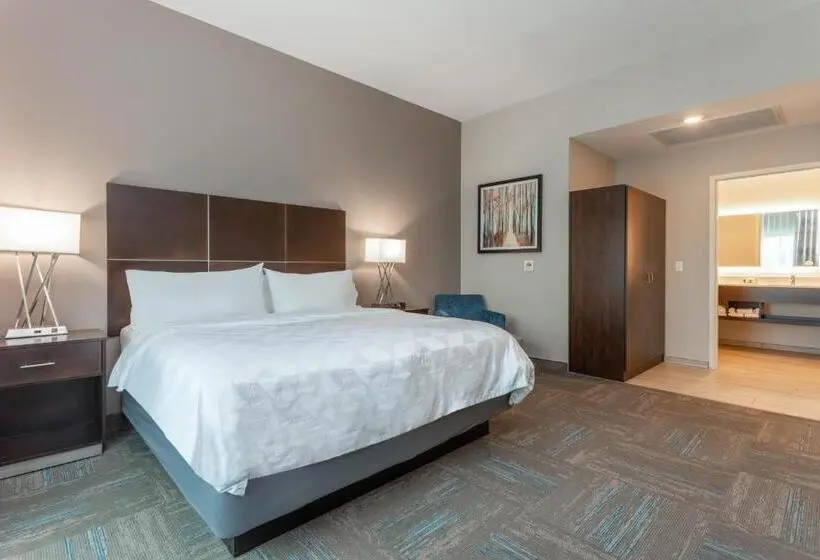 キングサイズベッドのスタンダードルーム, Holiday Inn & Suites   Jefferson City, An Ihg