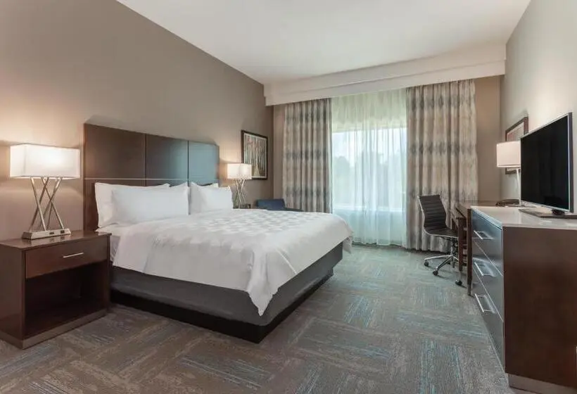 身障者適用キングサイズベッドルーム, Holiday Inn & Suites   Jefferson City, An Ihg