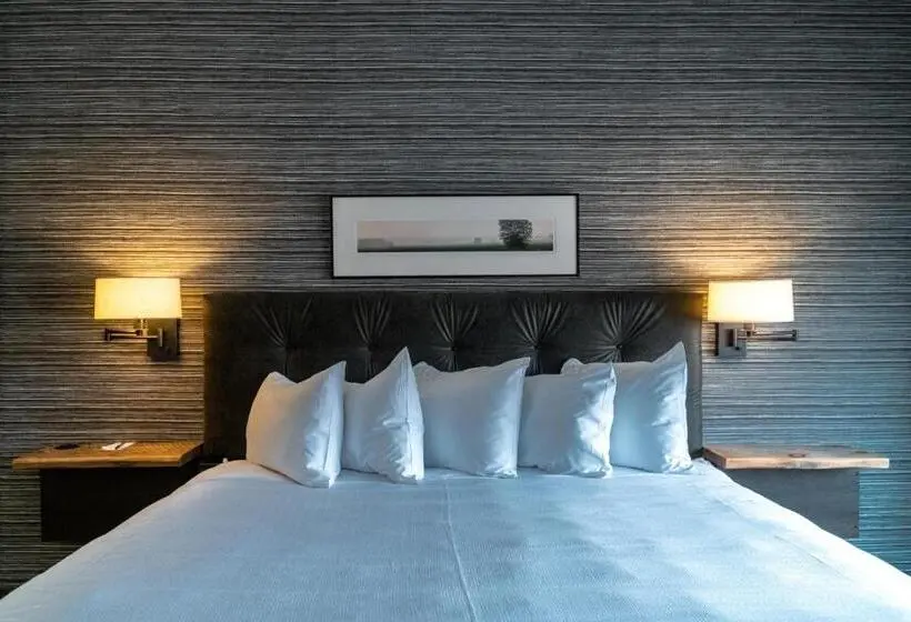 Standard-huone King-vuode, Crosby
