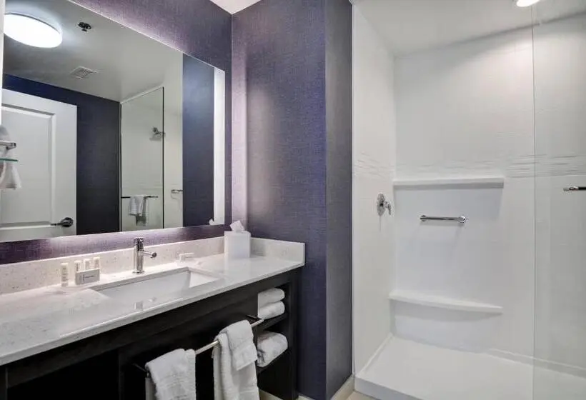سوئیت با تخت بزرگ, Residence Inn By Marriott Cleveland Airport/middleburg Heights