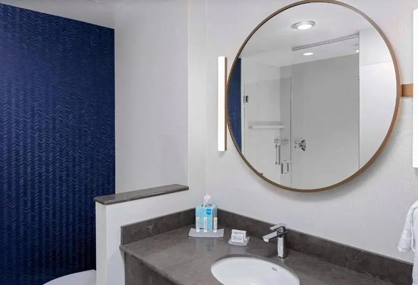 キングサイズベッドのスタンダードルーム, Fairfield Inn & Suites By Marriott Memphis Collierville