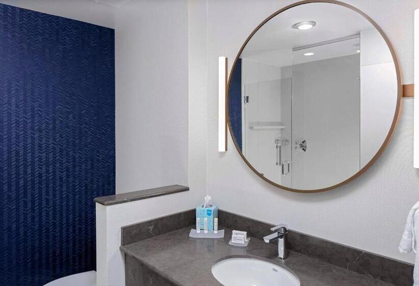 סוויטה אקזקיוטיב, Fairfield Inn & Suites By Marriott Memphis Collierville
