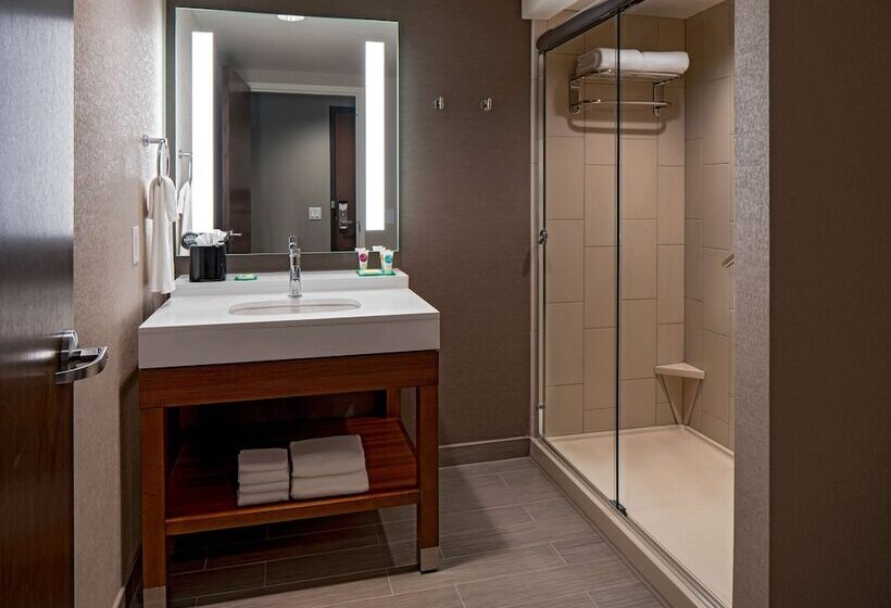 غرفه قياسيه سريرين مزدوجين, Hyatt Place Indianapolis Downtown