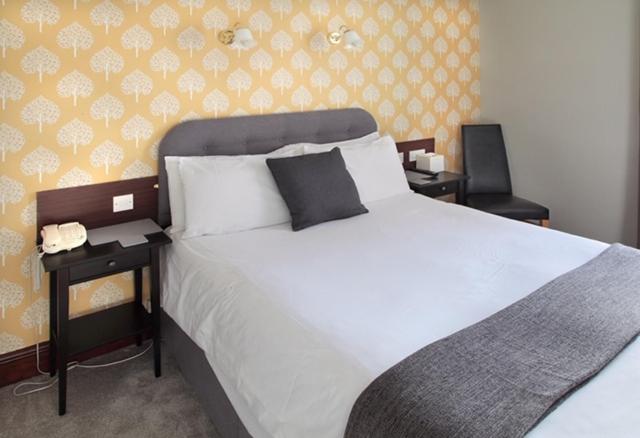 חדר סטנדרט, Park