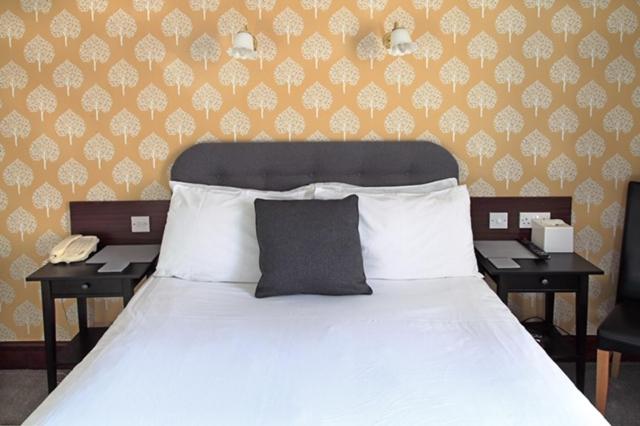 חדר סטנדרט, Park