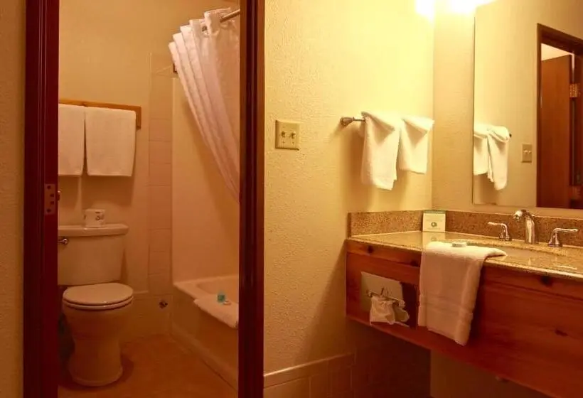 اتاق استاندارد با تخت بزرگ, Yellowstone Village Inn And Suites