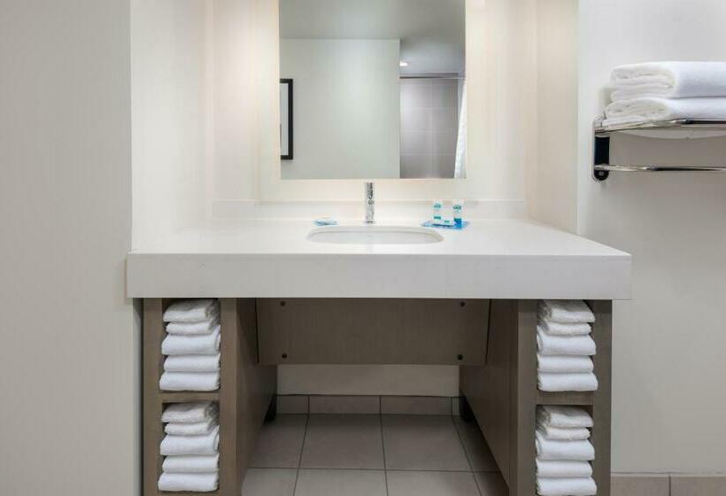 اتاق استاندارد با تخت بزرگ, Hyatt House Chicago West Loop Fulton Market