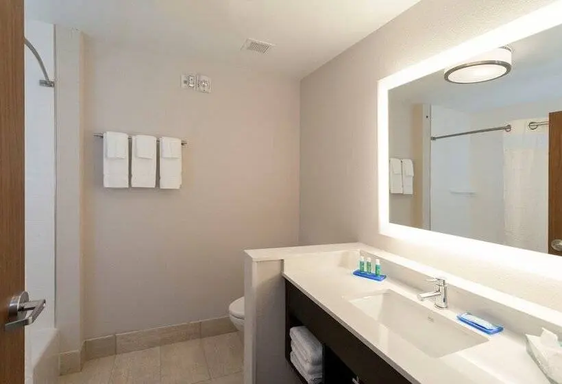 スイート, Holiday Inn Express & Suites   Auburn Downtown, An Ihg