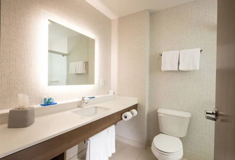 身障者適用スイートルーム, Holiday Inn Express & Suites   Michigan City, An Ihg