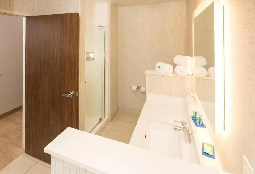 キングサイズベッドのスイートルーム, Holiday Inn Express & Suites   Michigan City, An Ihg