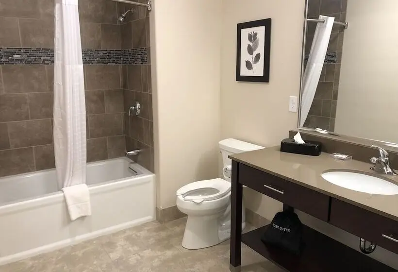 キングサイズベッドのスイートルーム, Independence Stay Hotel & Suites