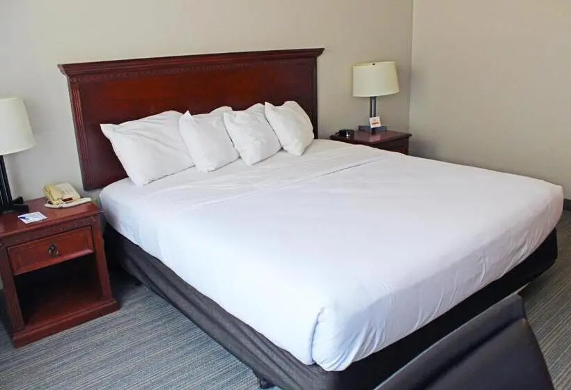 スタンダードスタジオ, Independence Stay Hotel & Suites