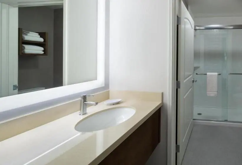 スタンダードルーム, Staybridge Suites Phoenix – Biltmore Area, An Ihg