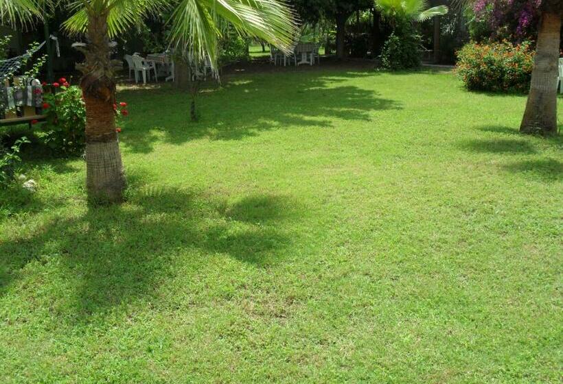 اتاق استاندارد سه نفره, Cesur Pansiyon