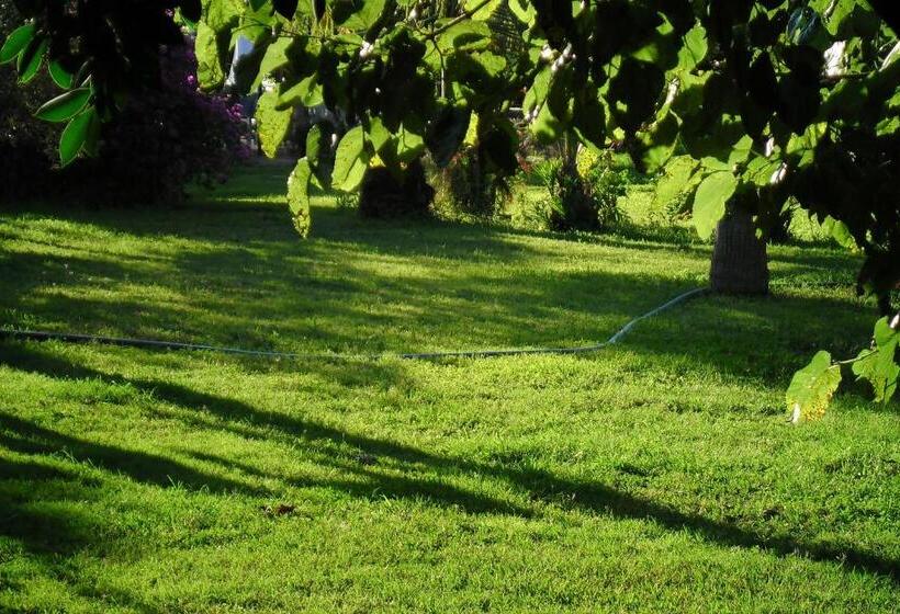 Bungalow Familiar, Cesur Pansiyon