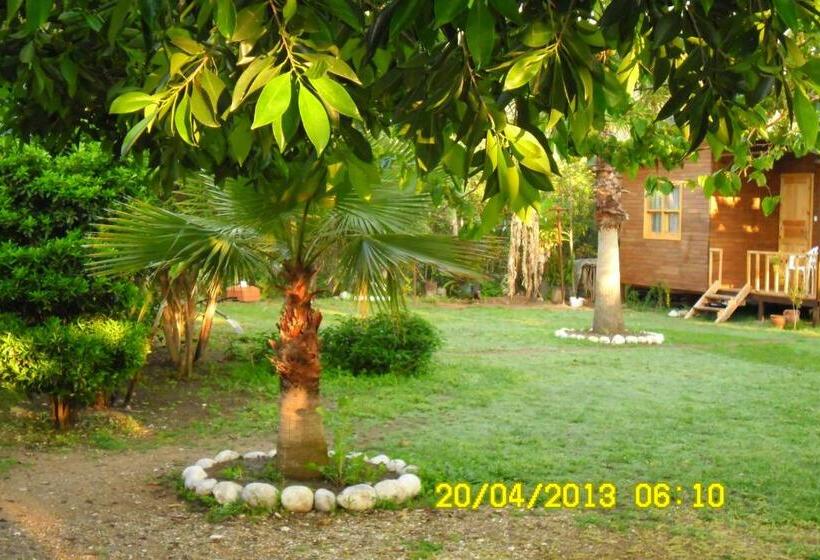 بنگله خانوادگی, Cesur Pansiyon