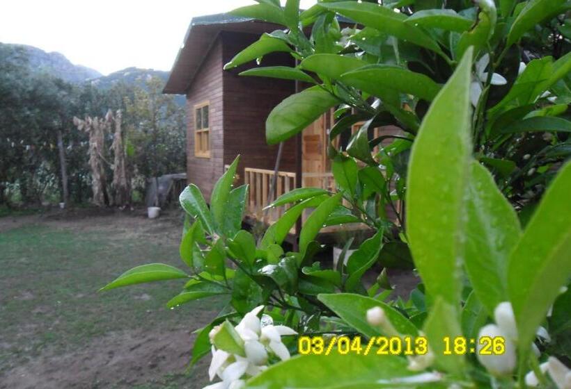 Bungalow Familiar, Cesur Pansiyon