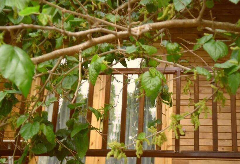 Habitació Estàndard, Cesur Pansiyon