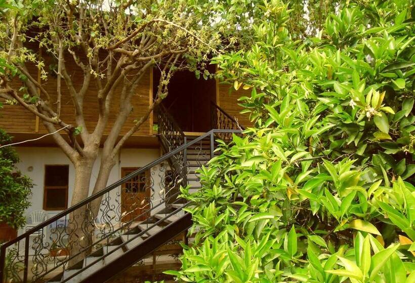 Bungalow Standard, Cesur Pansiyon