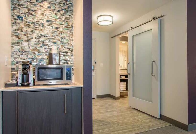 장애인을 위한 킹사이즈 침대 스탠다드 룸, Hilton Garden Inn Sunnyvale