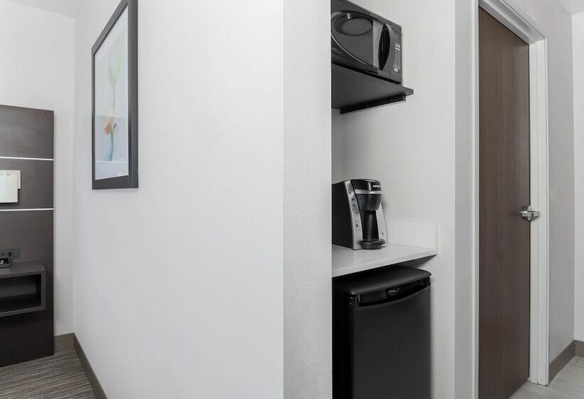 身障者適用スイートルーム, Holiday Inn Express & Suites Chicago O Hare Airport, An Ihg