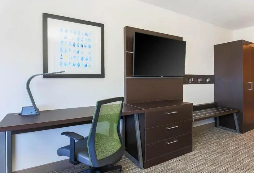 キングサイズベッドのスイートルーム, Holiday Inn Express & Suites Chicago O Hare Airport, An Ihg