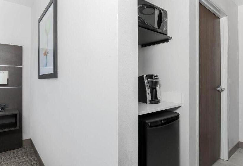 Номер Стандарт Адаптированный для Инвалидов, Holiday Inn Express & Suites Chicago O Hare Airport, An Ihg