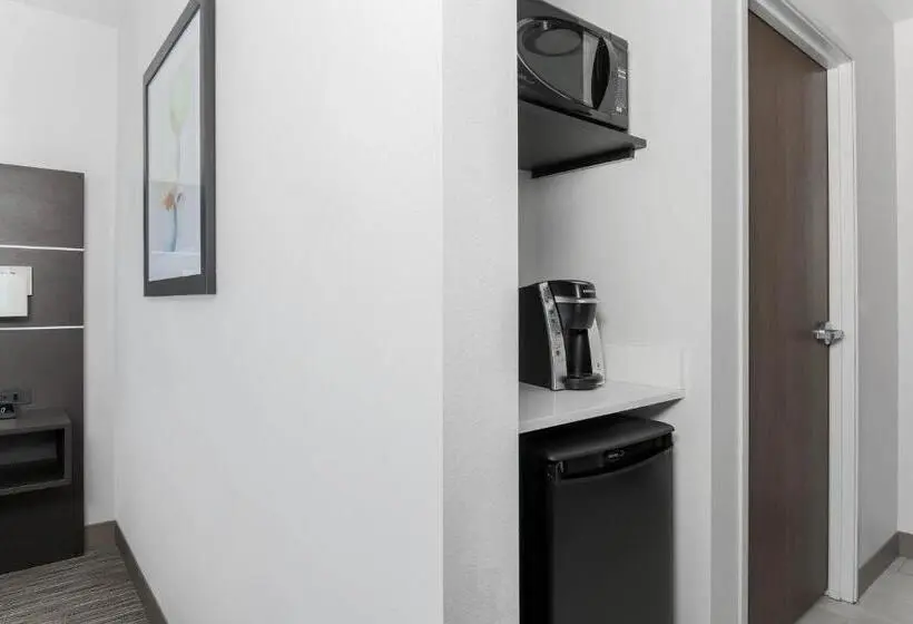 身障者適用スタンダードルーム, Holiday Inn Express & Suites Chicago O Hare Airport, An Ihg