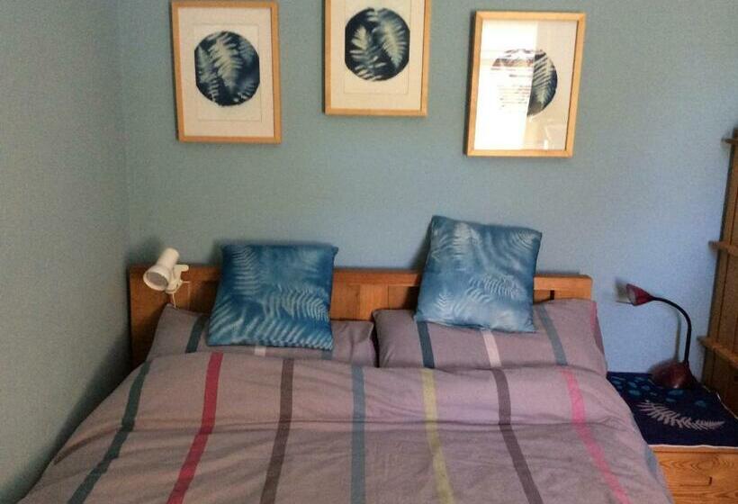 经济房, Shaptor Studio