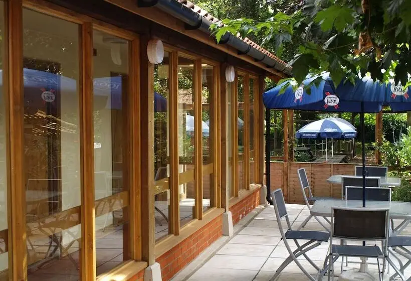 エクゼクティブルーム, The Olde Windmill Inn