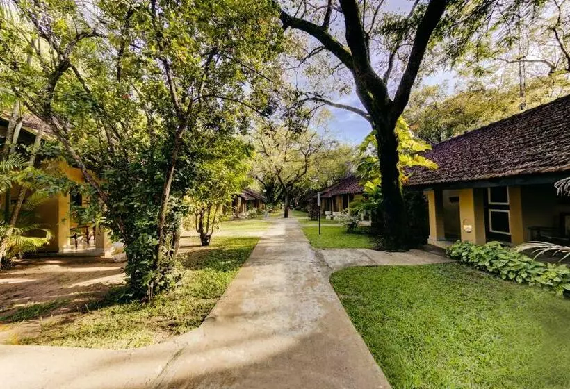 اتاق سوپریور, Habarana Village By Cinnamon