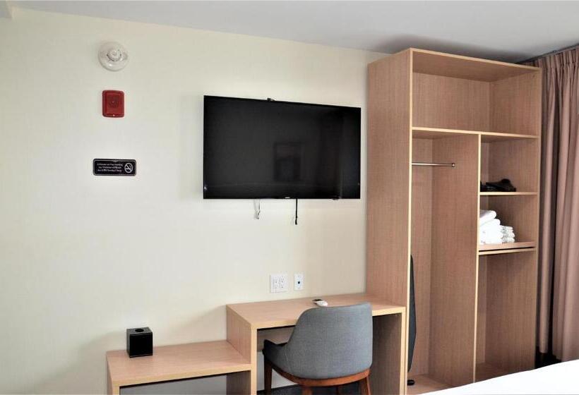 Номер Стандарт 2 Двуспальные Кровати, Lic Plaza