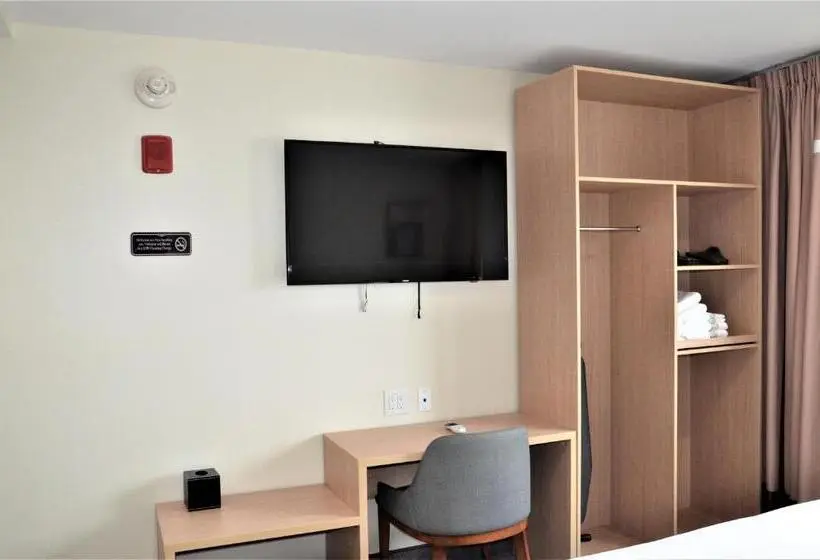 اتاق استاندارد با تخت بزرگ, Lic Plaza