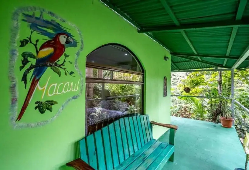 اتاق لوکس, Peace Of Paradise