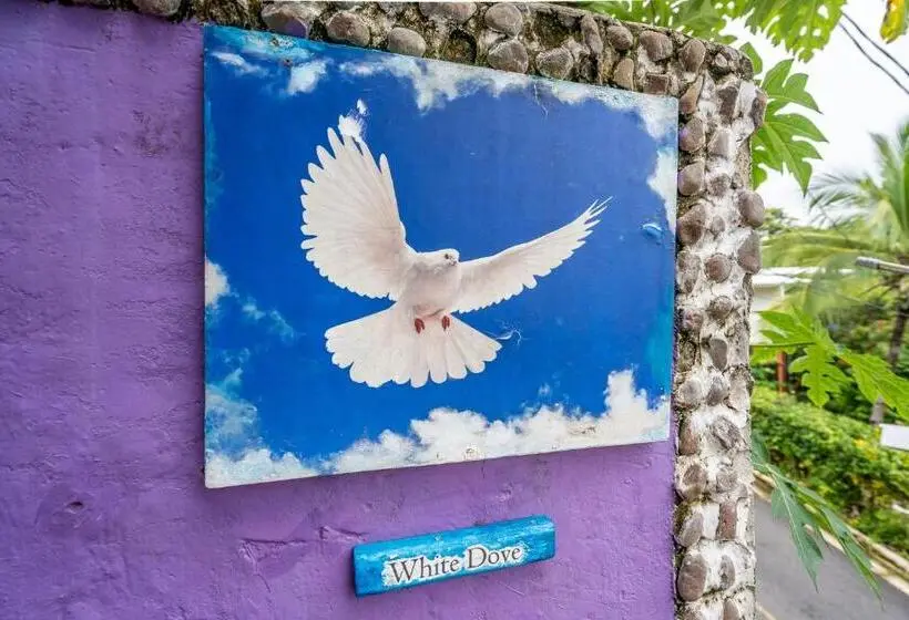 آپارتمان 1 خوابه با چشم‌انداز باغ, Peace Of Paradise
