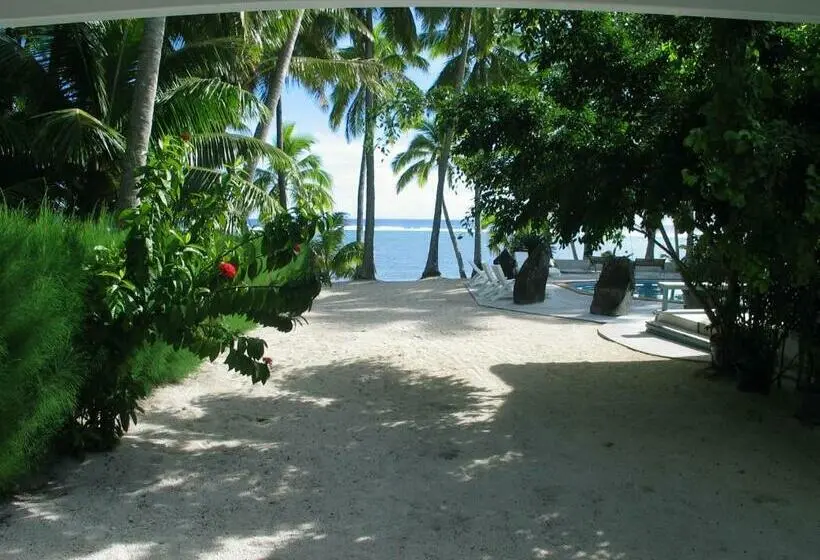 استودیوی استاندارد, Sunhaven Beach Bungalows