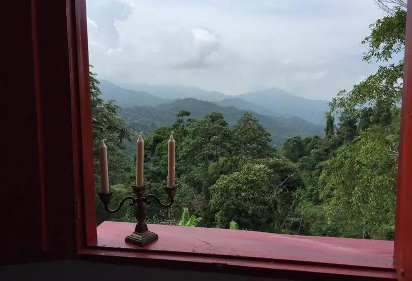 デラックスルーム, Finca San Rafael Cafe Y Cacao