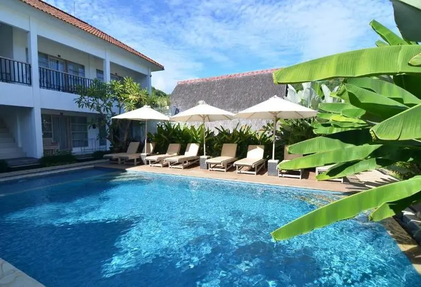 プールの見えるデラックスルーム, Lavella Villas Kuta Lombok