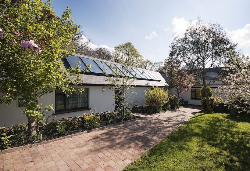 스탠다드 룸, Cloverfox Connemara Hostel