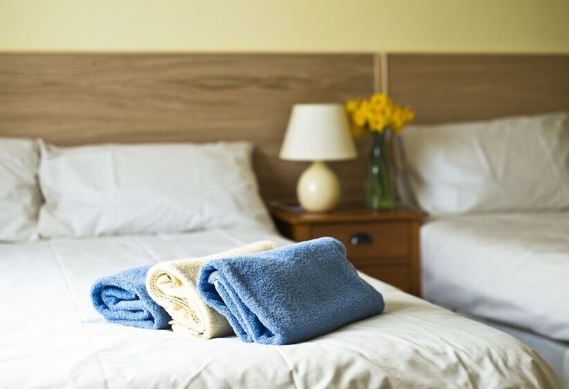 스탠다드 룸, Cloverfox Connemara Hostel