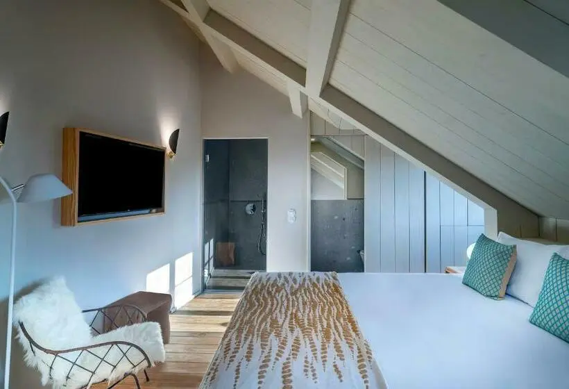 اتاق لوکس, Porta Nova Collection House